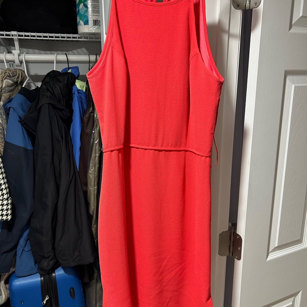 Paper crown small dress
